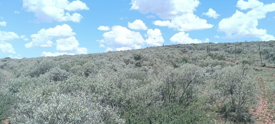 10 Bedroom Property for Sale in Boshof Free State